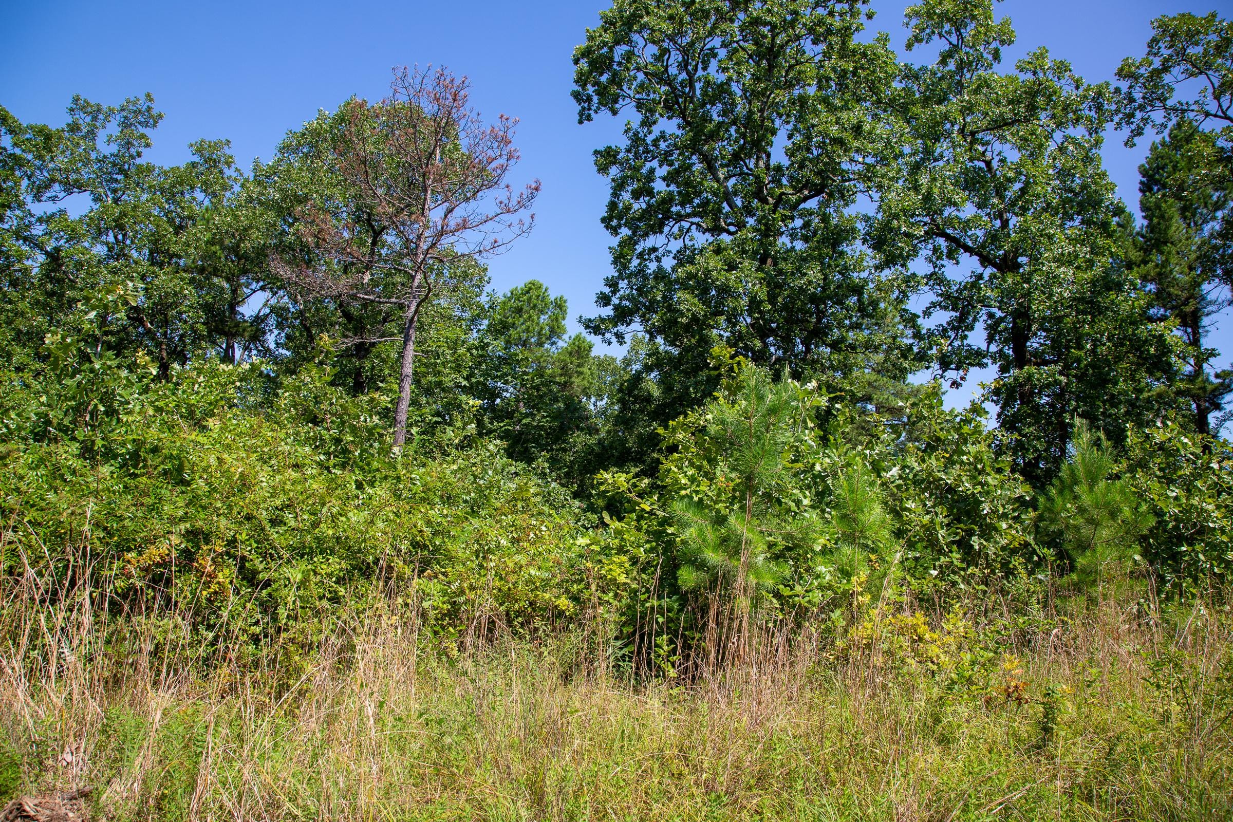 Tyler Stone Ranch Tract 43 photo 15