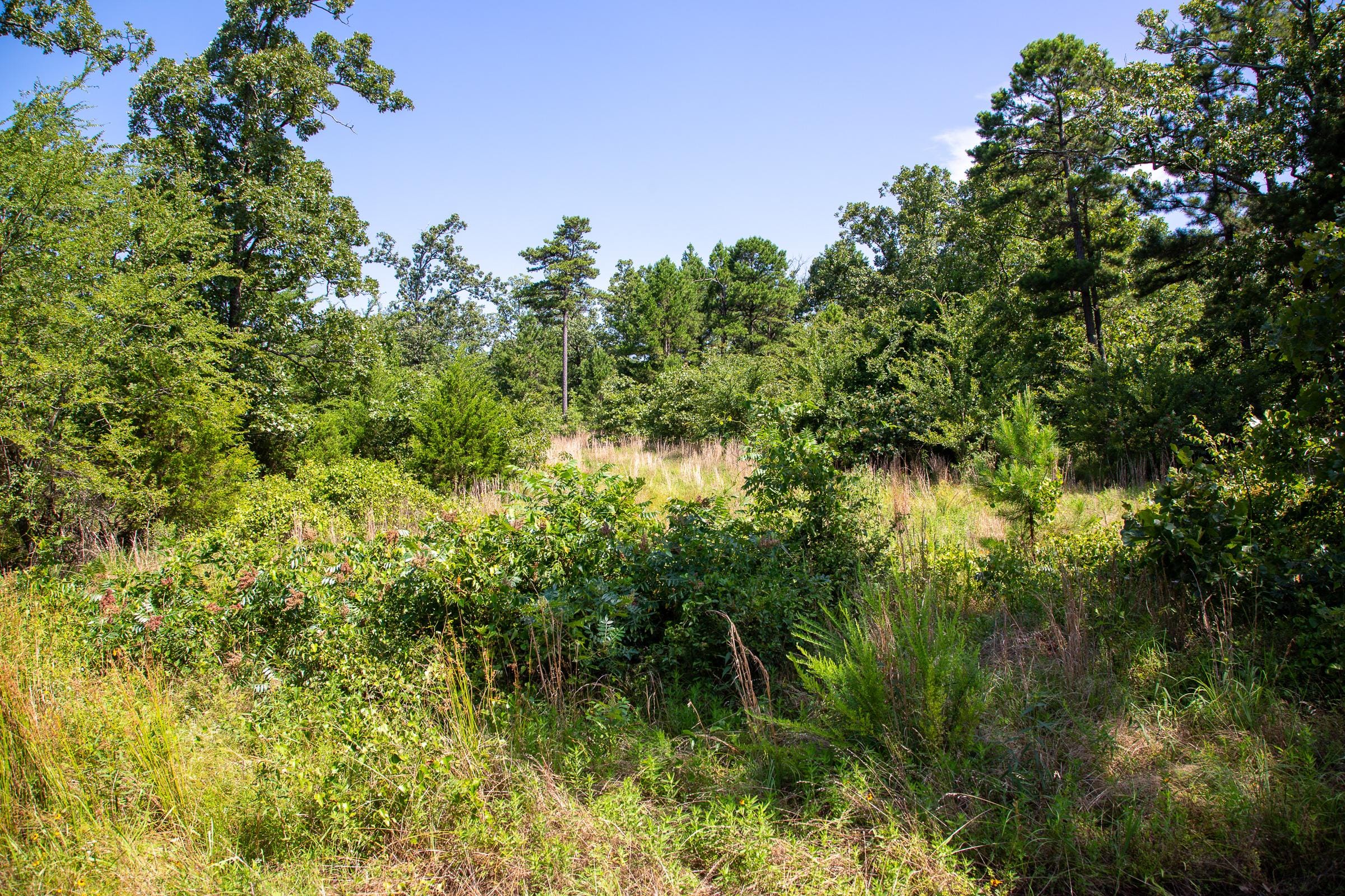 Tyler Stone Ranch Tract 43 photo 16