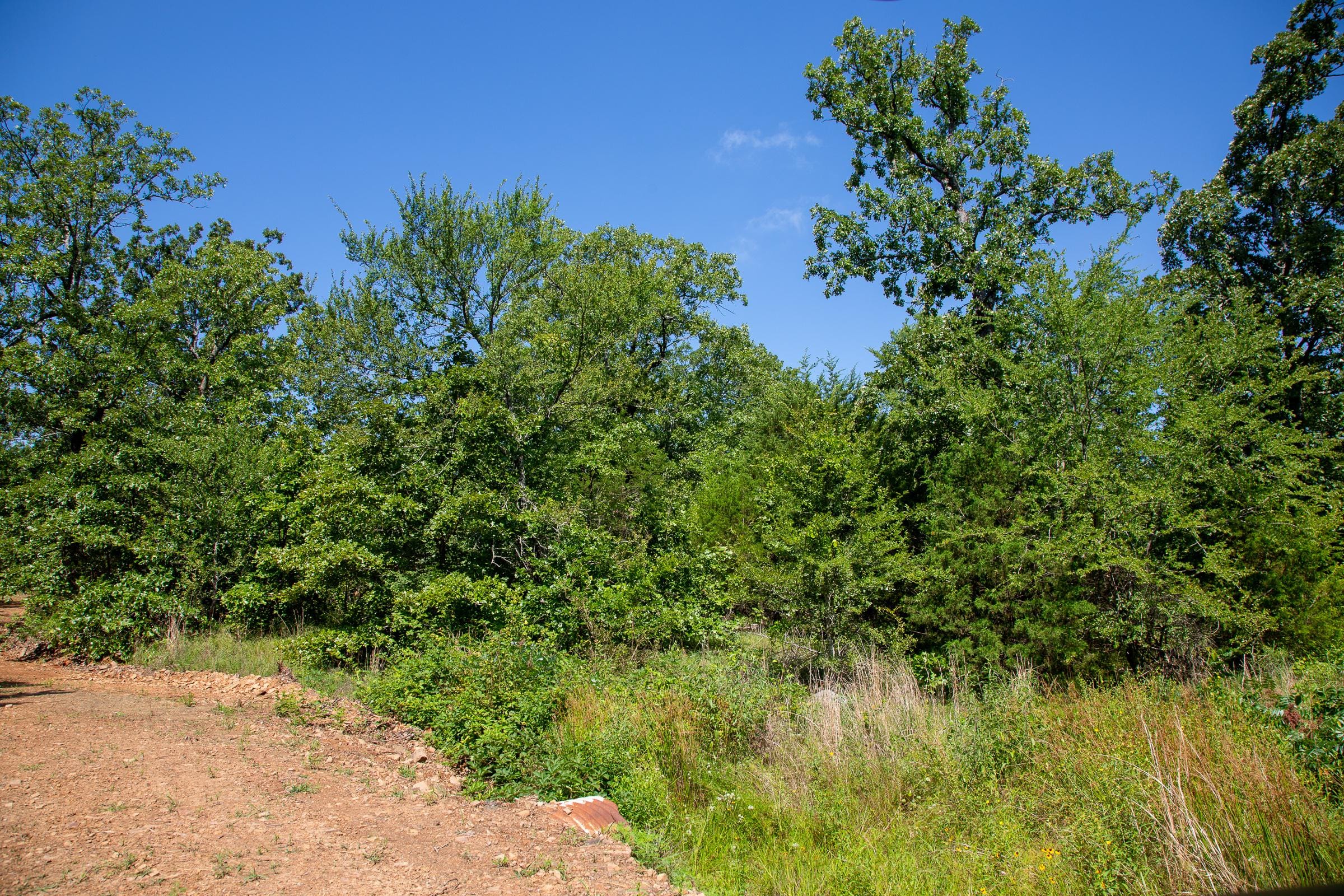 Tyler Stone Ranch Tract 43 photo 17