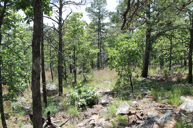 Indian Ridge – Phase II Tract 82 photo 2