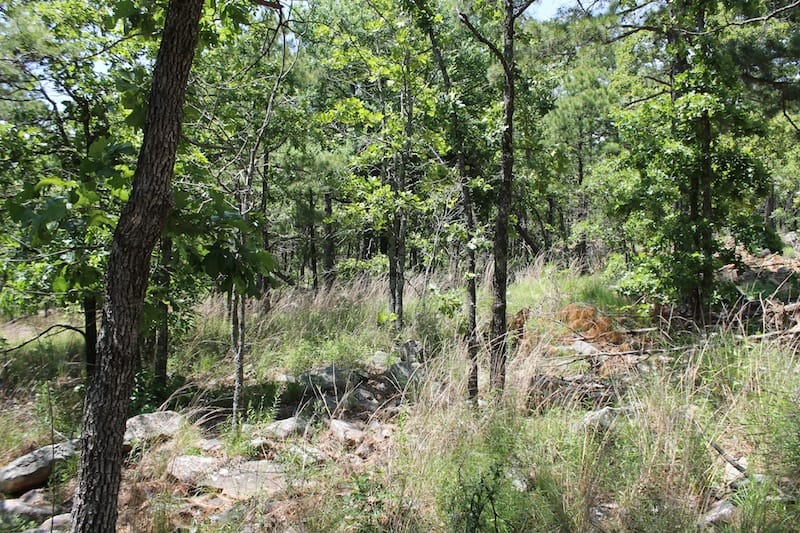 Indian Ridge – Phase II Tract 82 photo 3