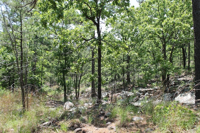 Indian Ridge – Phase II Tract 82 photo 4