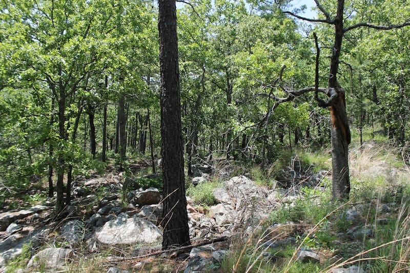 Indian Ridge – Phase II Tract 82 photo 5