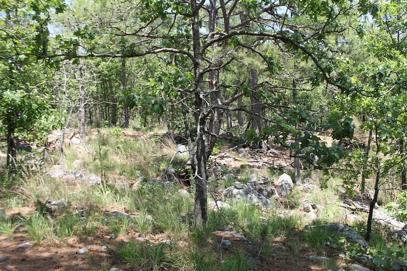 Indian Ridge – Phase II Tract 82 photo 6