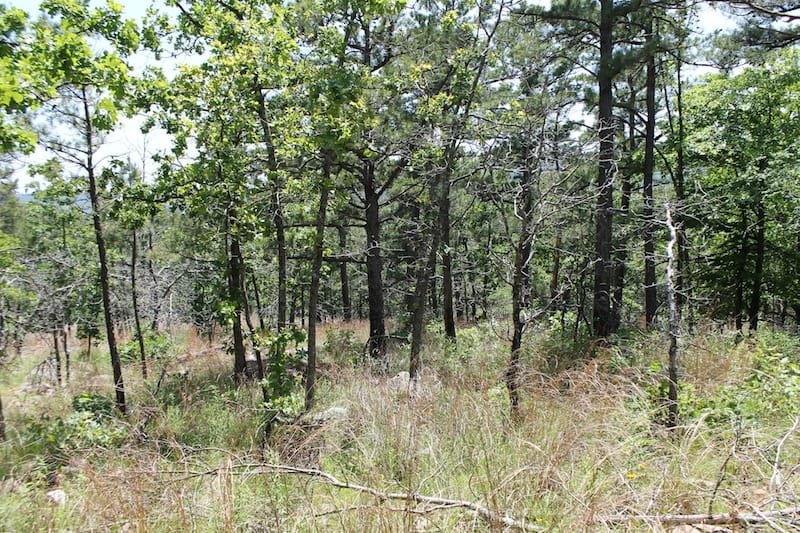 Indian Ridge – Phase II Tract 82 photo 7