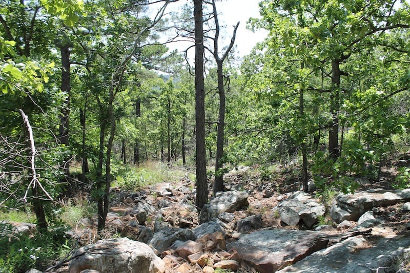 Indian Ridge – Phase II Tract 82 photo 8