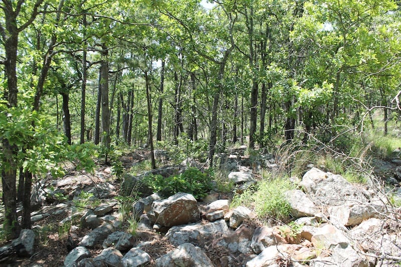 Indian Ridge – Phase II Tract 82 photo 9