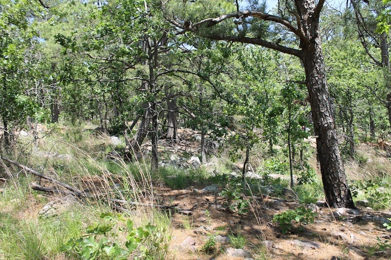 Indian Ridge – Phase II Tract 82 photo 10