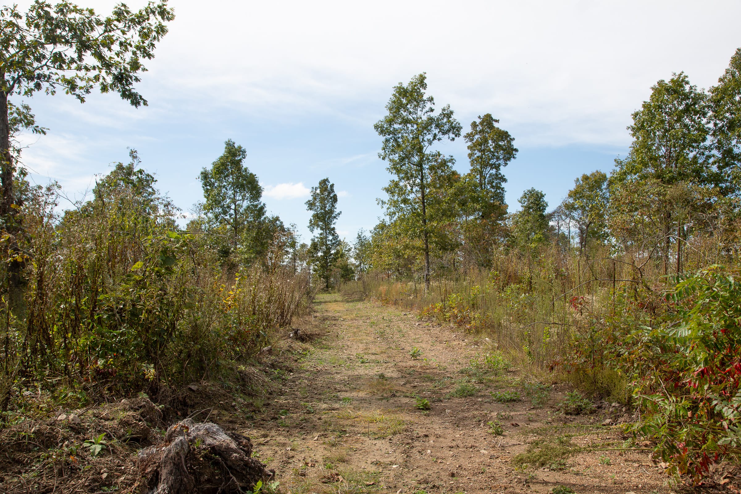 Borgmann’s Hollow Phase IV Tract 121 photo 1
