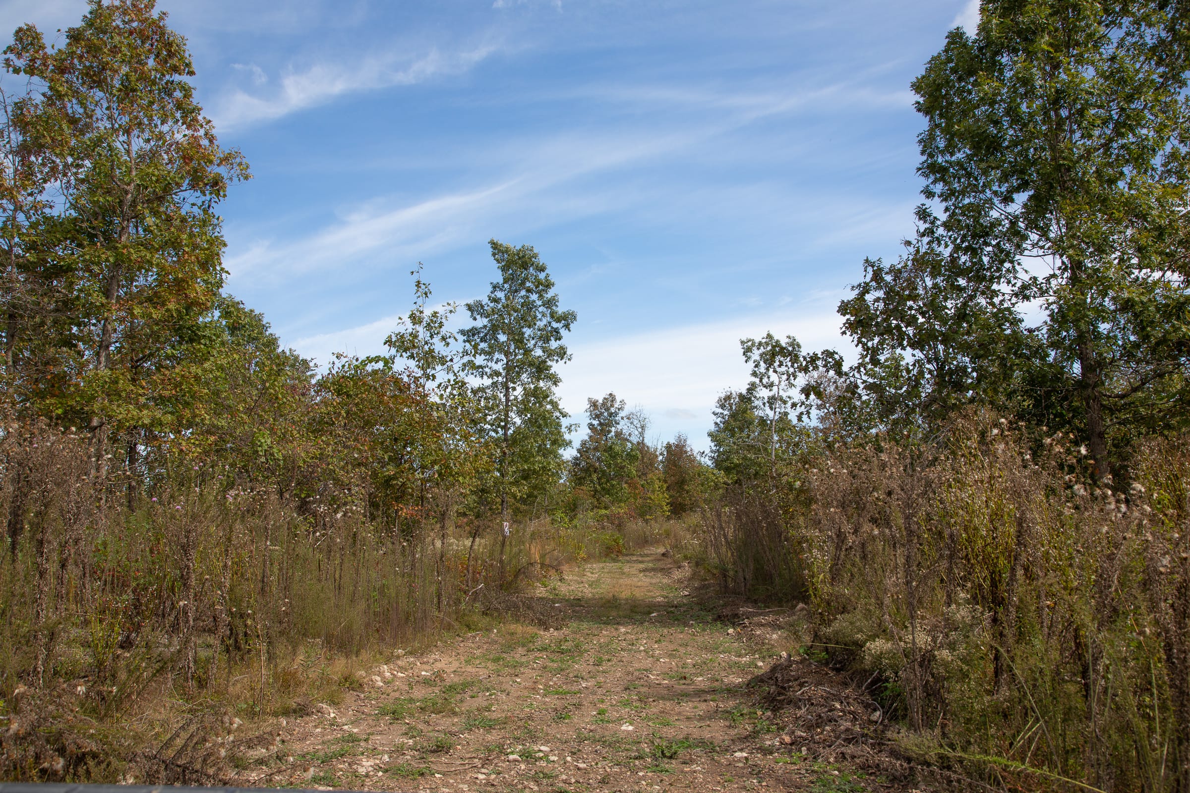 Borgmann’s Hollow Phase IV Tract 121 photo 6