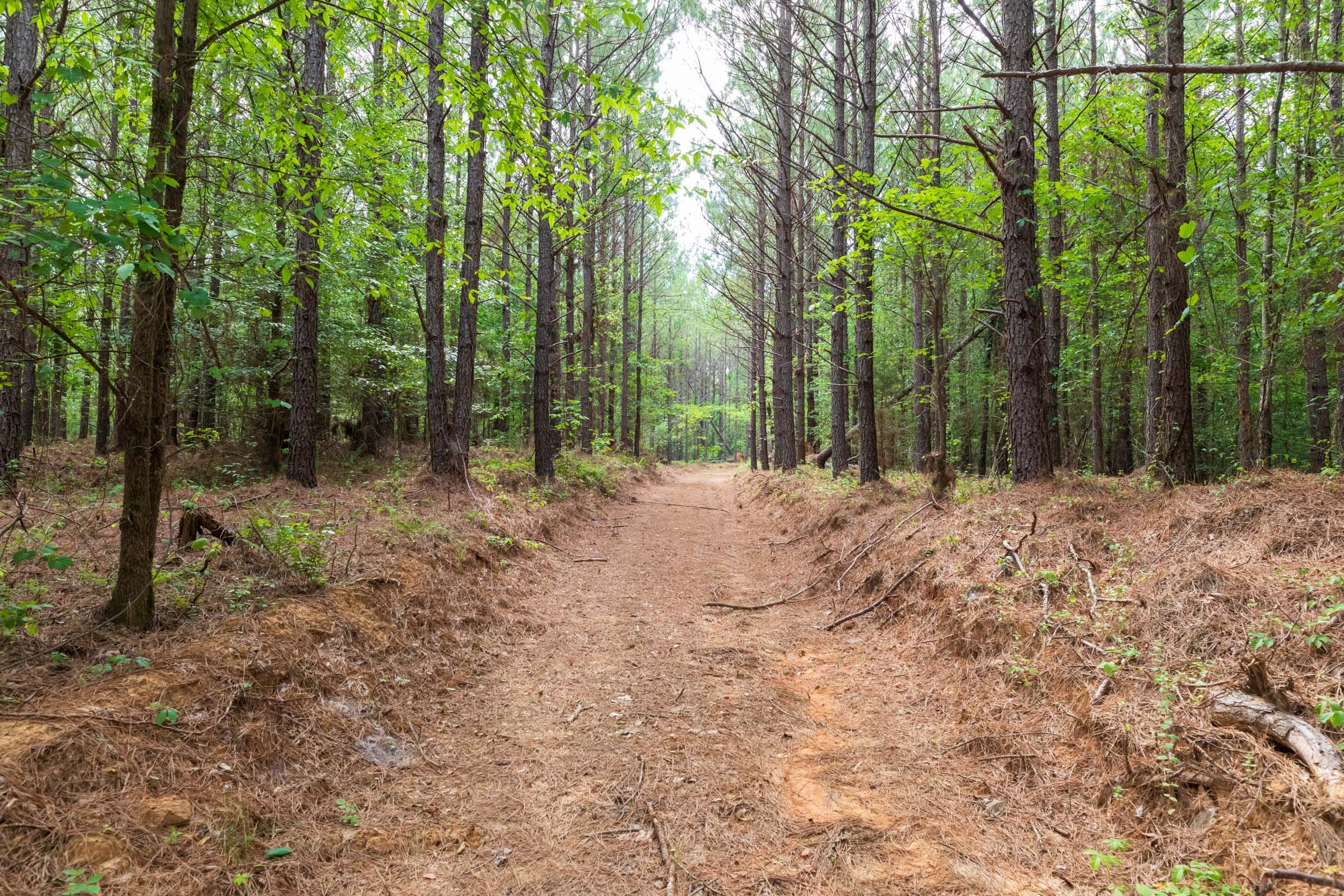 Whiskey Ridge Tract 20 photo 1
