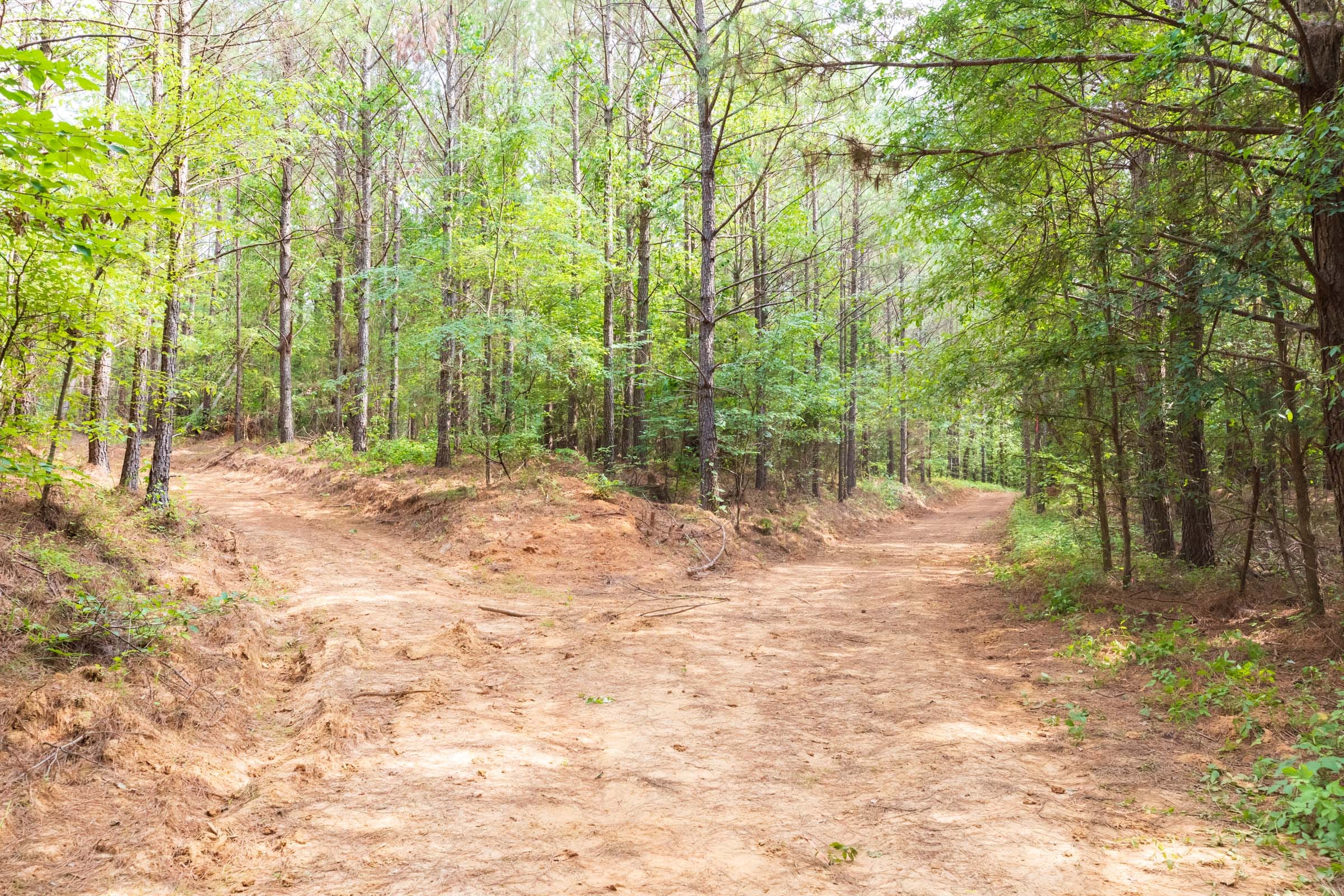 Whiskey Ridge Tract 20 photo 5