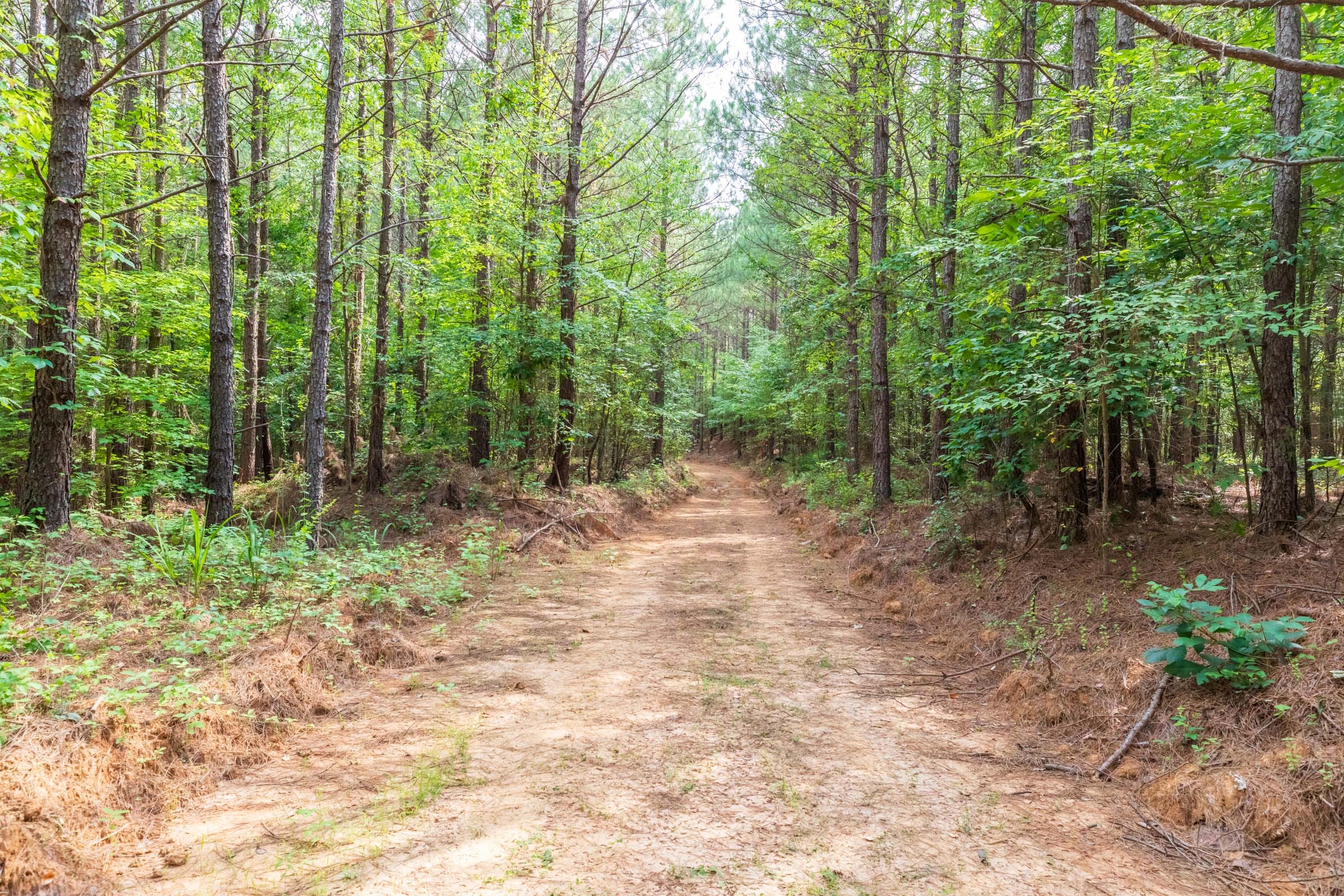 Whiskey Ridge Tract 20 photo 10