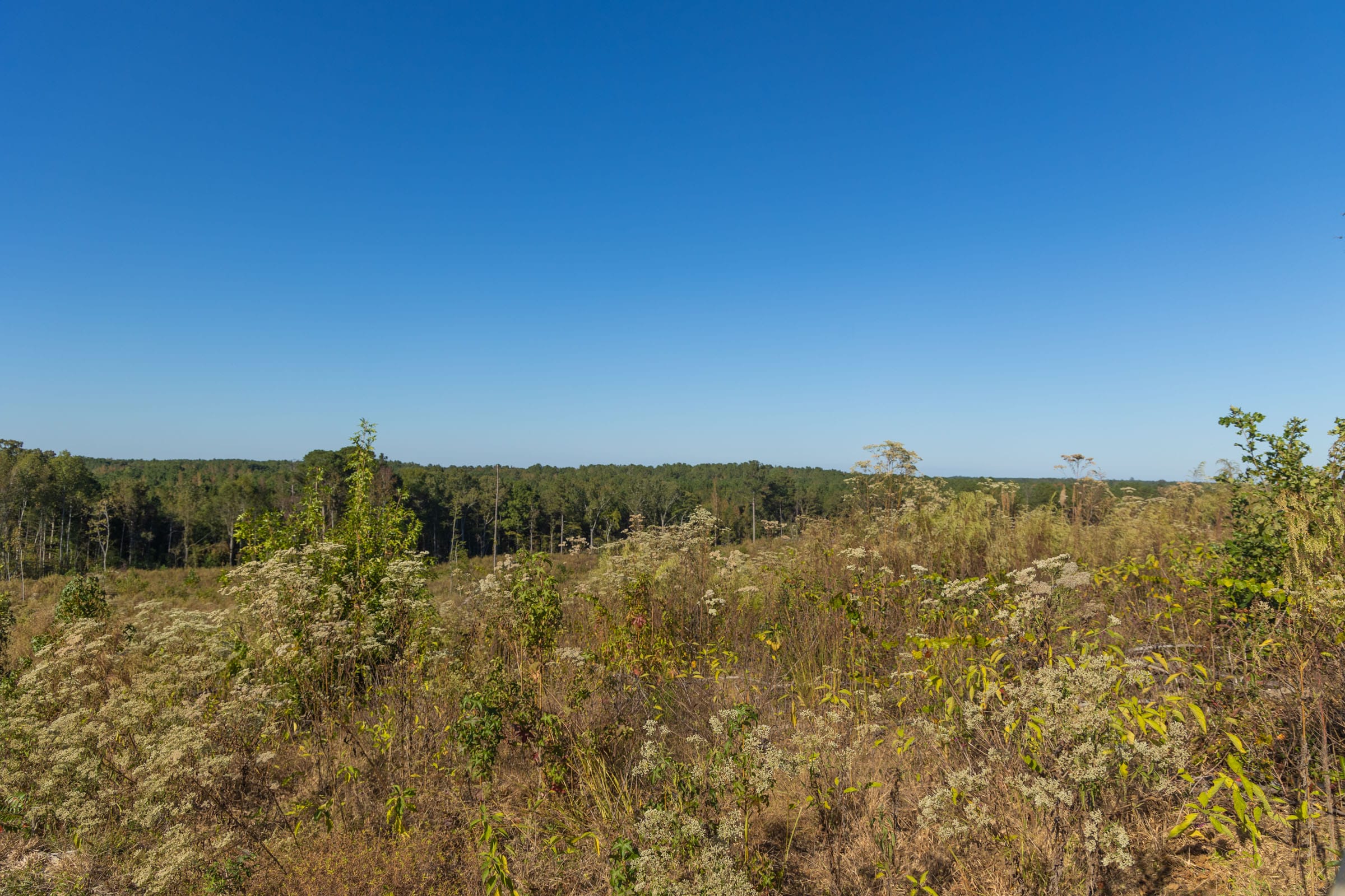Meyer’s Ridge Tract 22 photo 15
