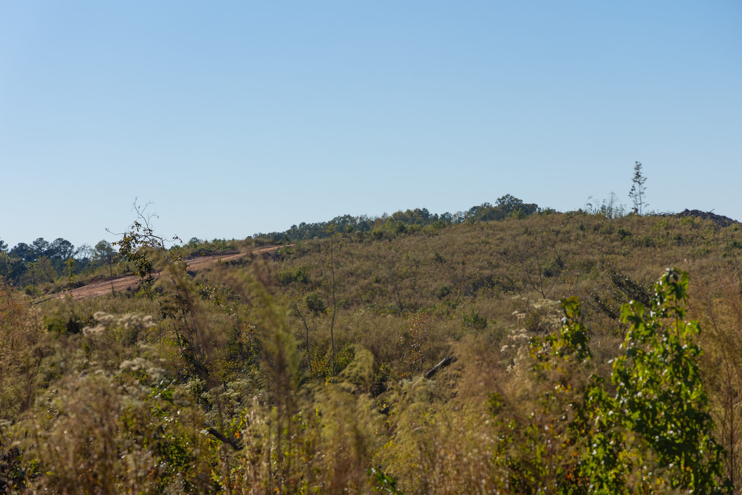 Meyer’s Ridge Tract 22 photo 14