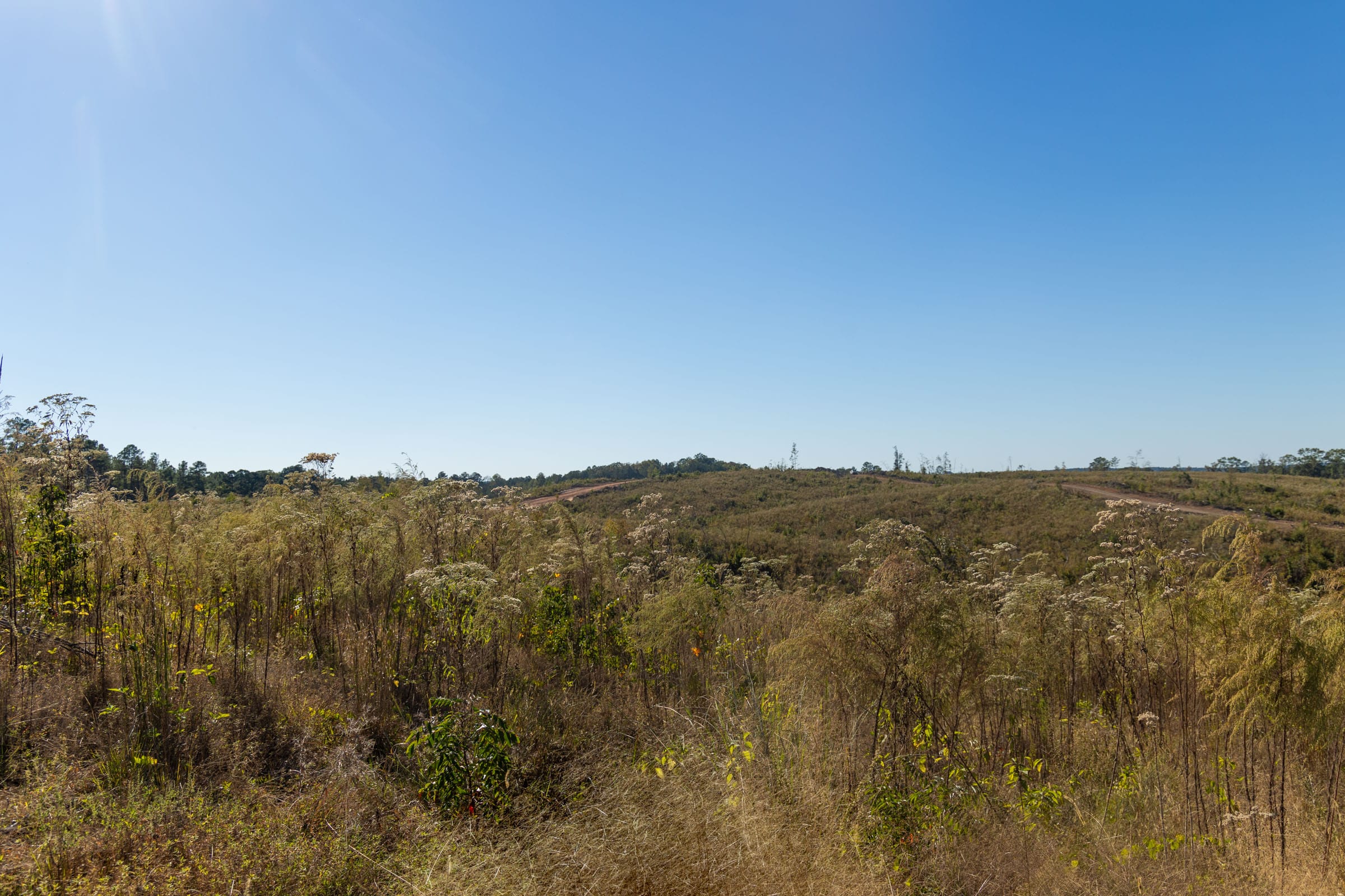 Meyer’s Ridge Tract 22 photo 5