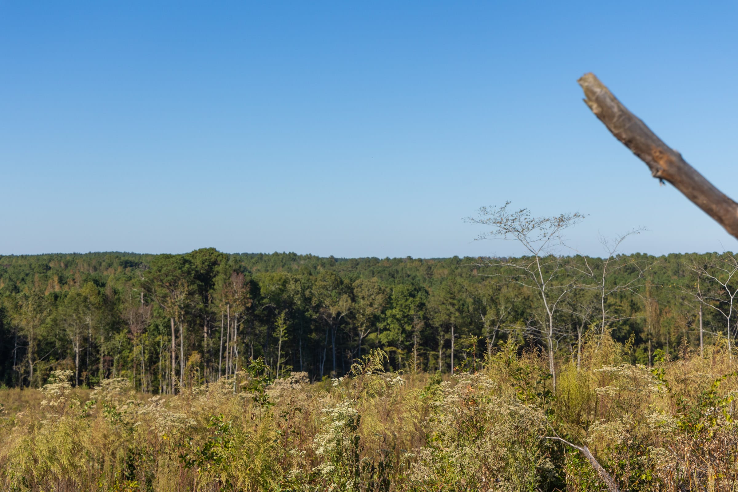 Meyer’s Ridge Tract 22 photo 4
