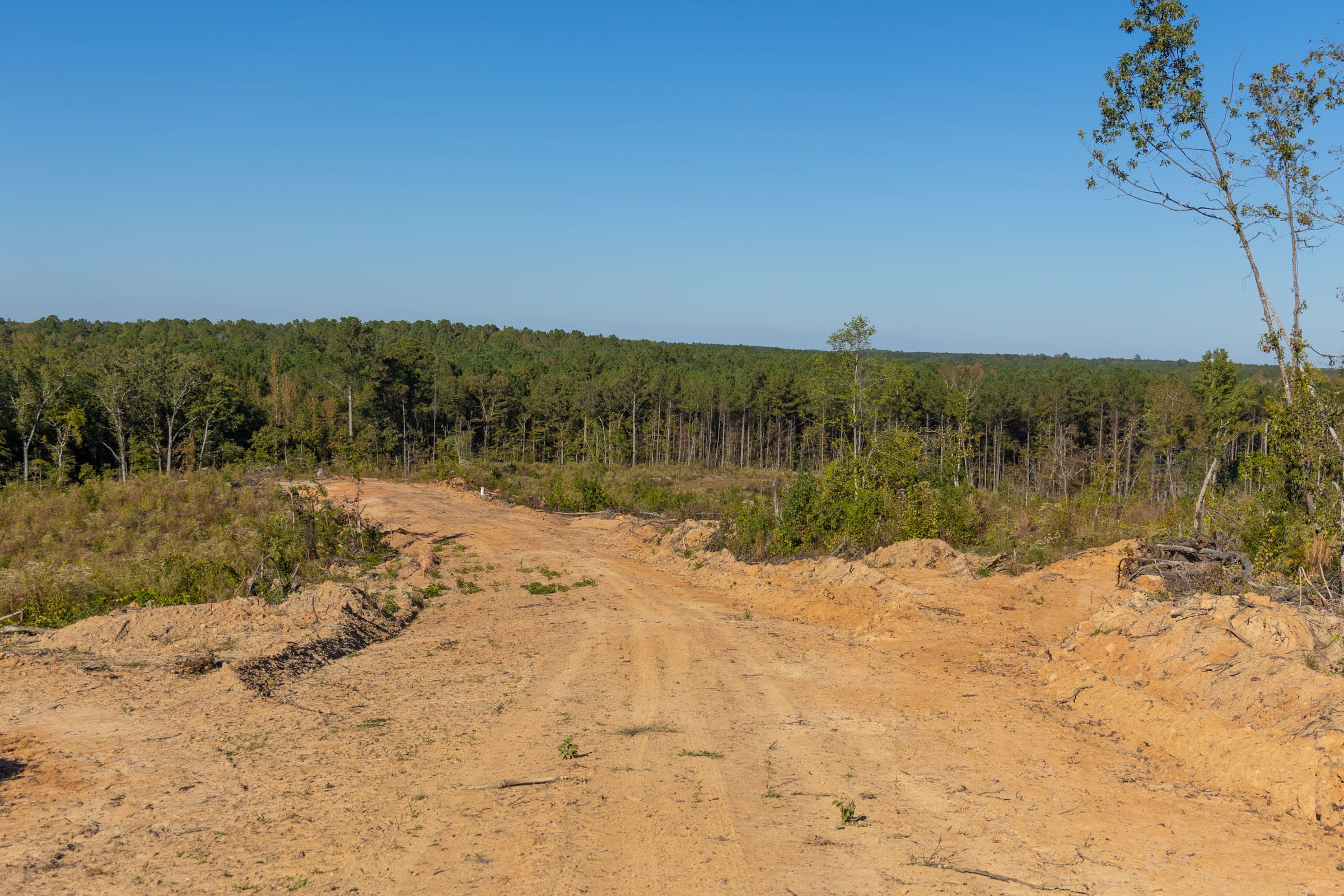 Meyer’s Ridge Tract 22 photo 3
