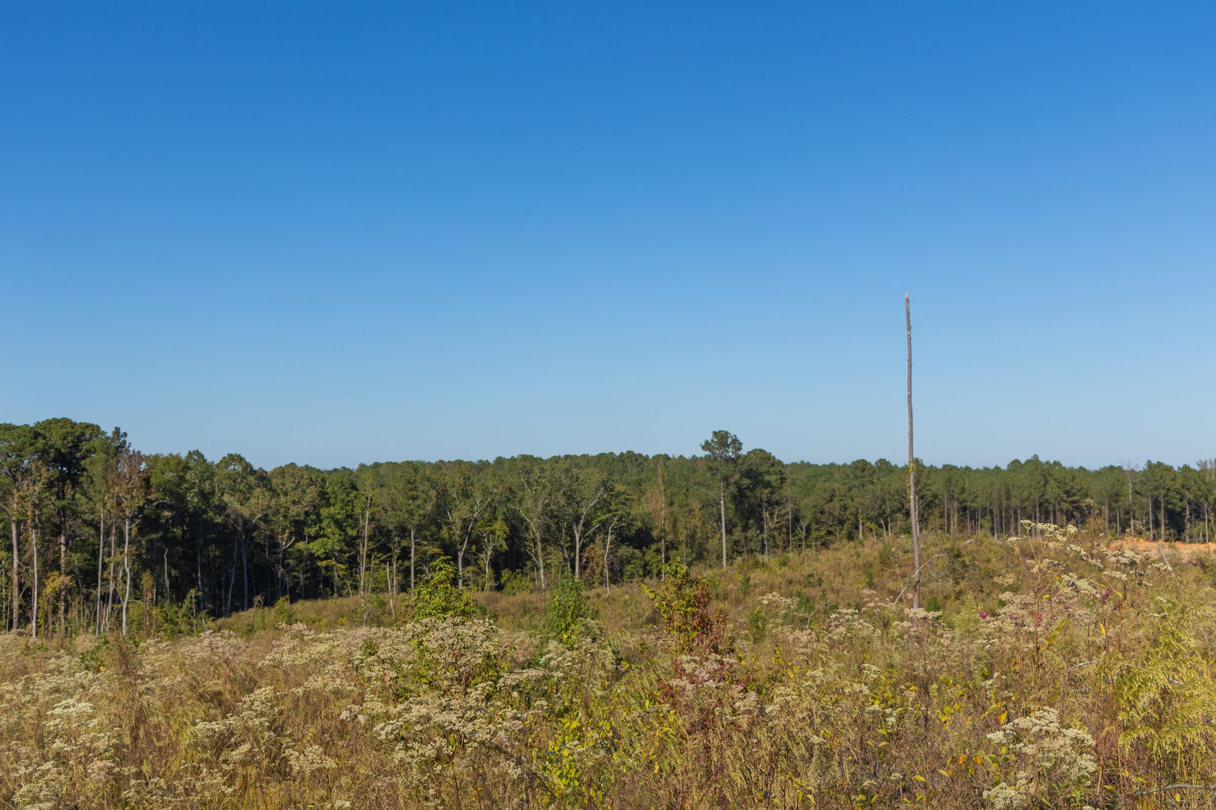 Meyer’s Ridge Tract 22 photo 13