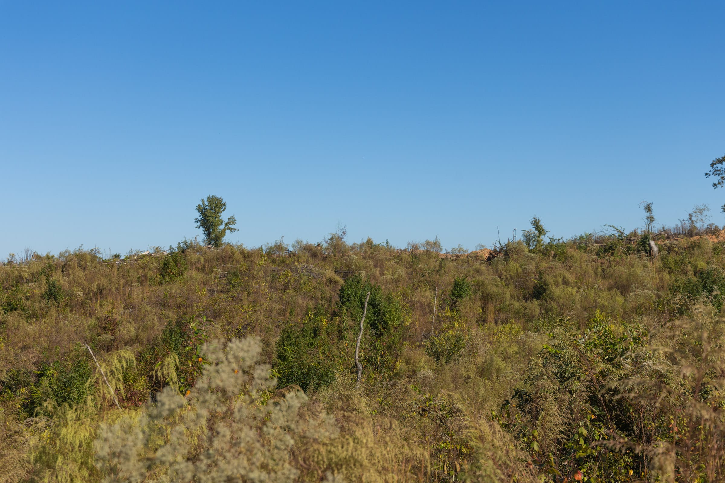 Meyer’s Ridge Tract 22 photo 12