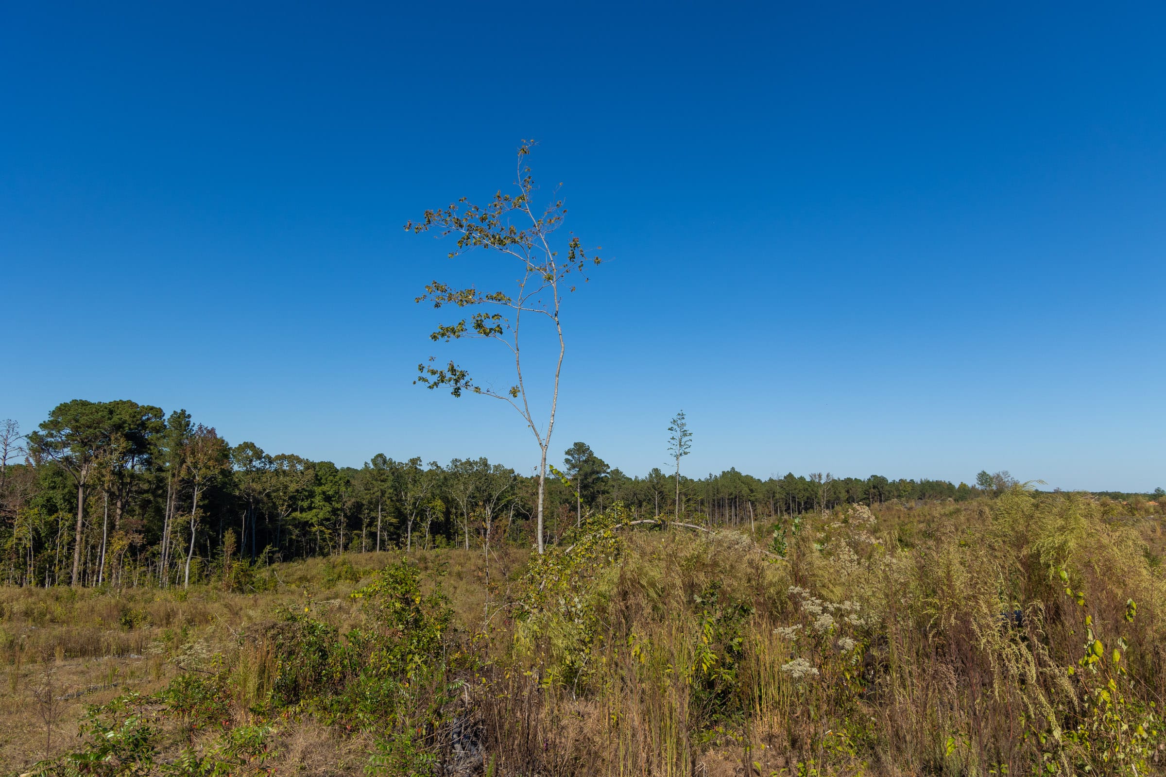 Meyer’s Ridge Tract 22 photo 11