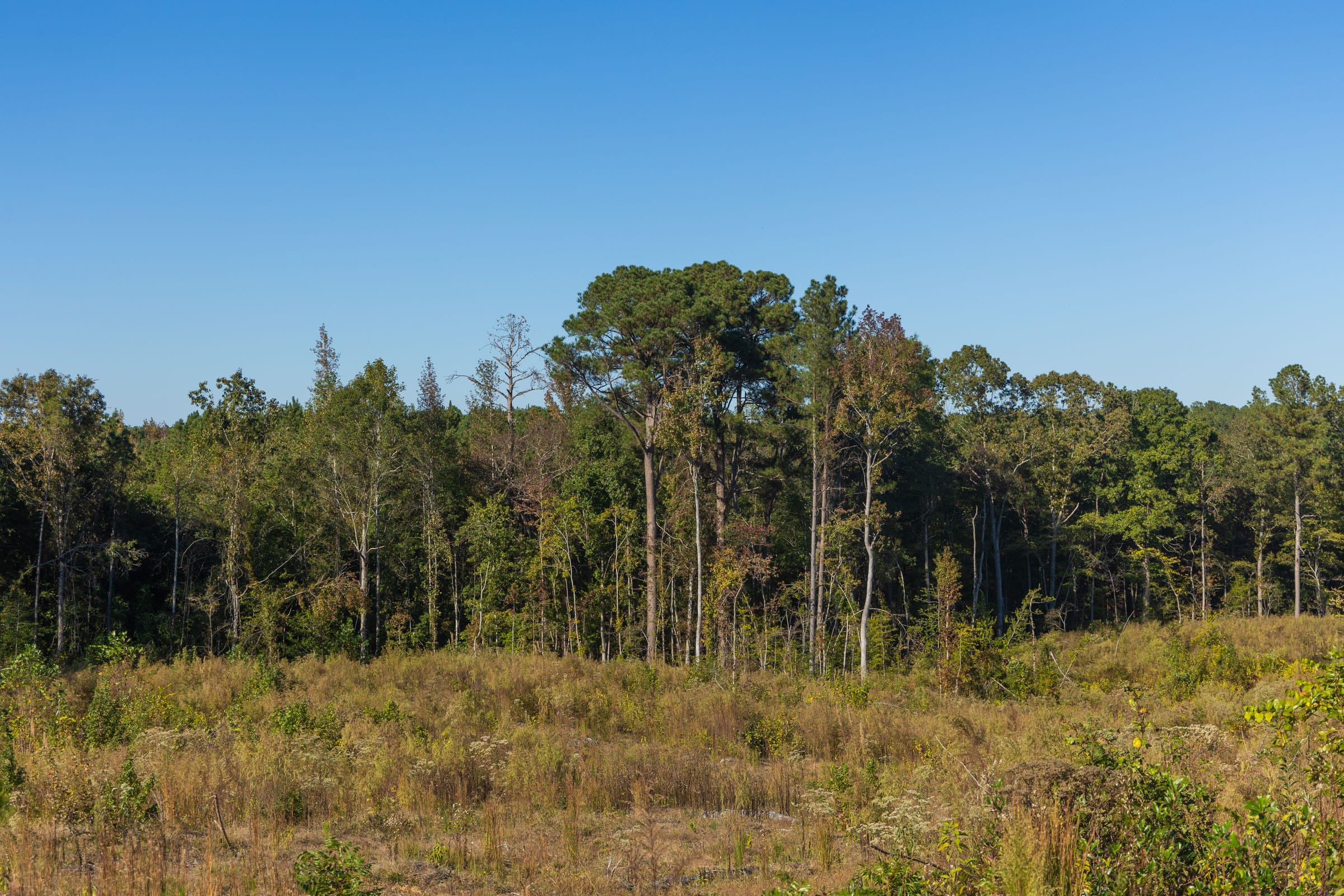 Meyer’s Ridge Tract 22 photo 10