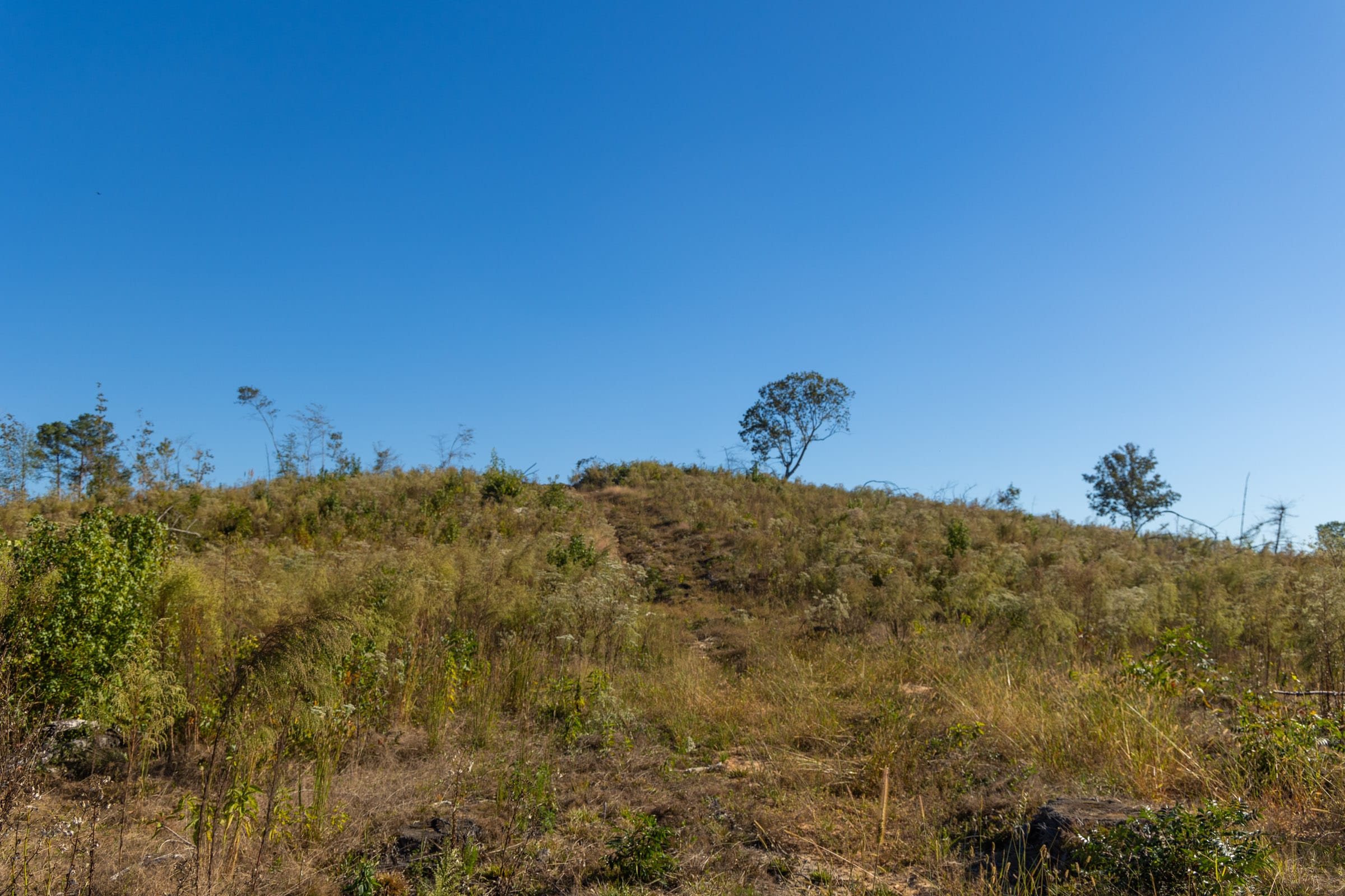 Meyer’s Ridge Tract 22 photo 9