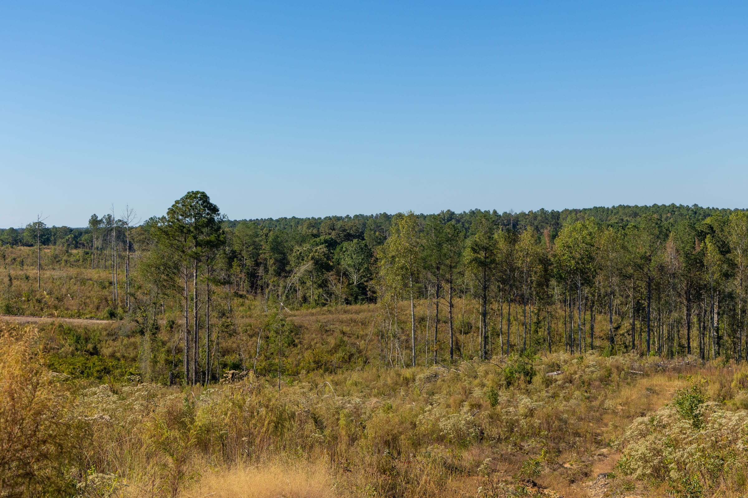 Meyer’s Ridge Tract 22 photo 7