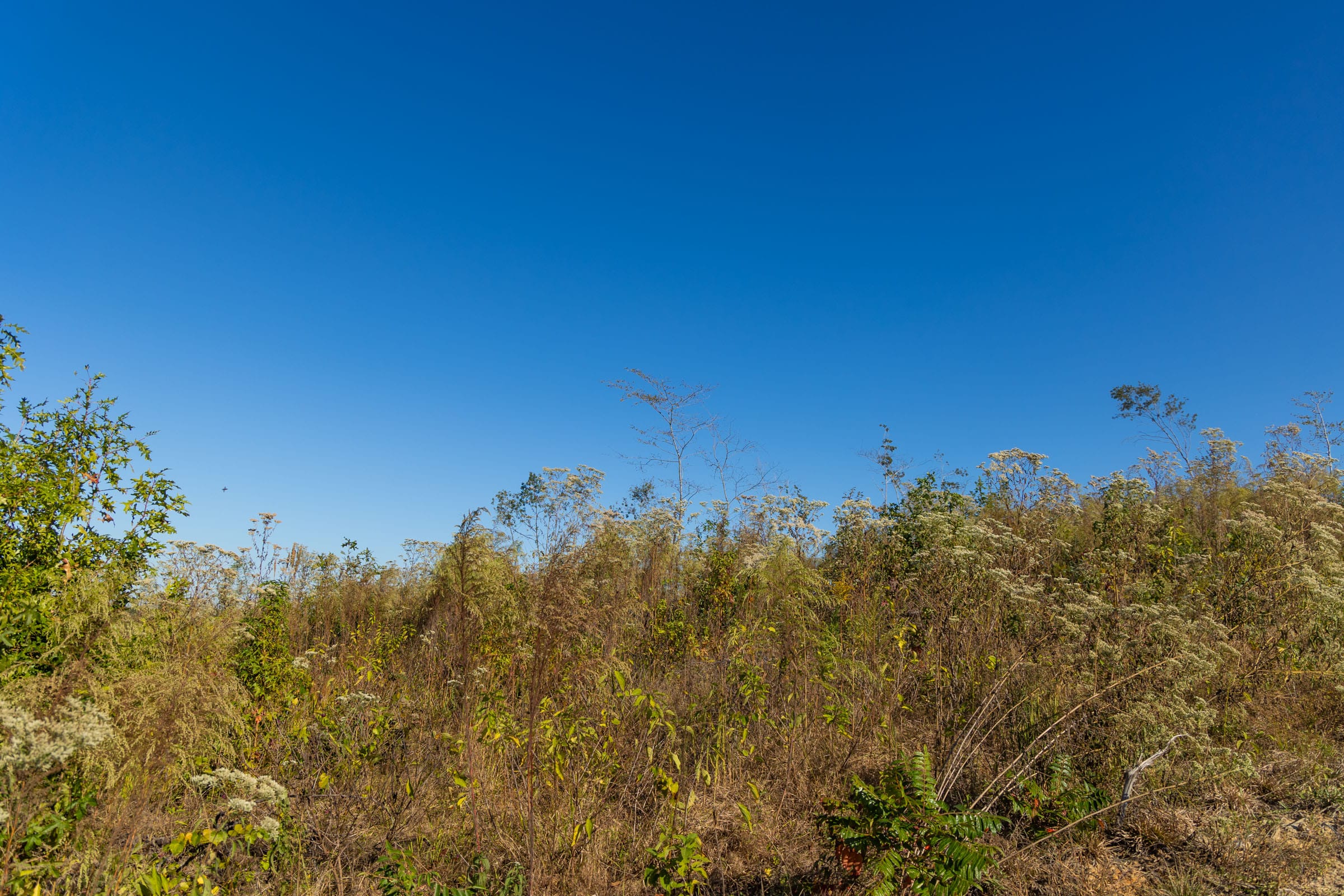 Meyer’s Ridge Tract 22 photo 6