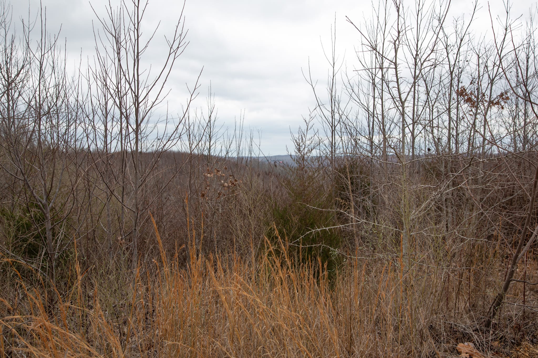 Southwind Ranch Tract 8 photo 8