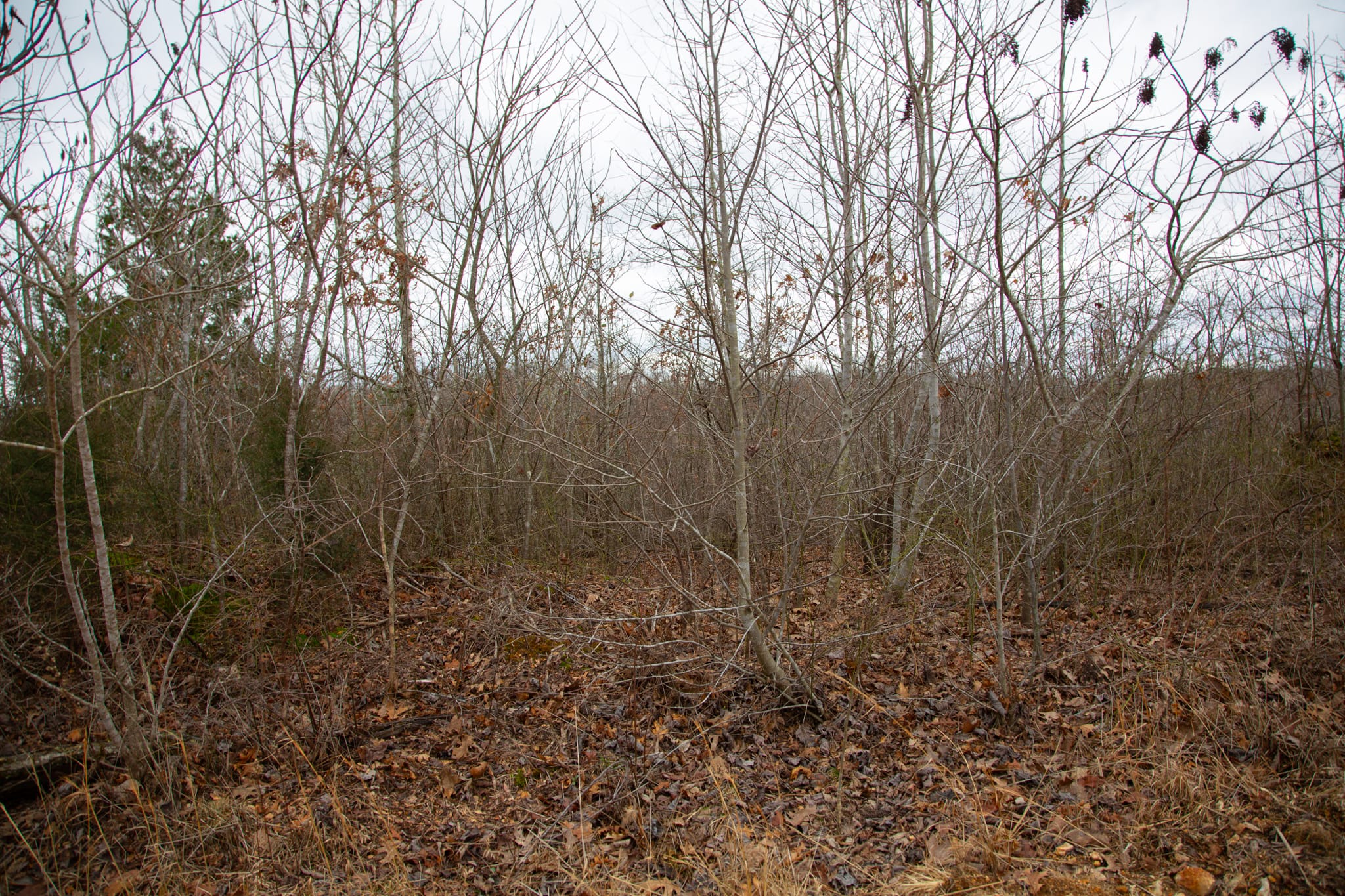 Southwind Ranch Tract 8 photo 9