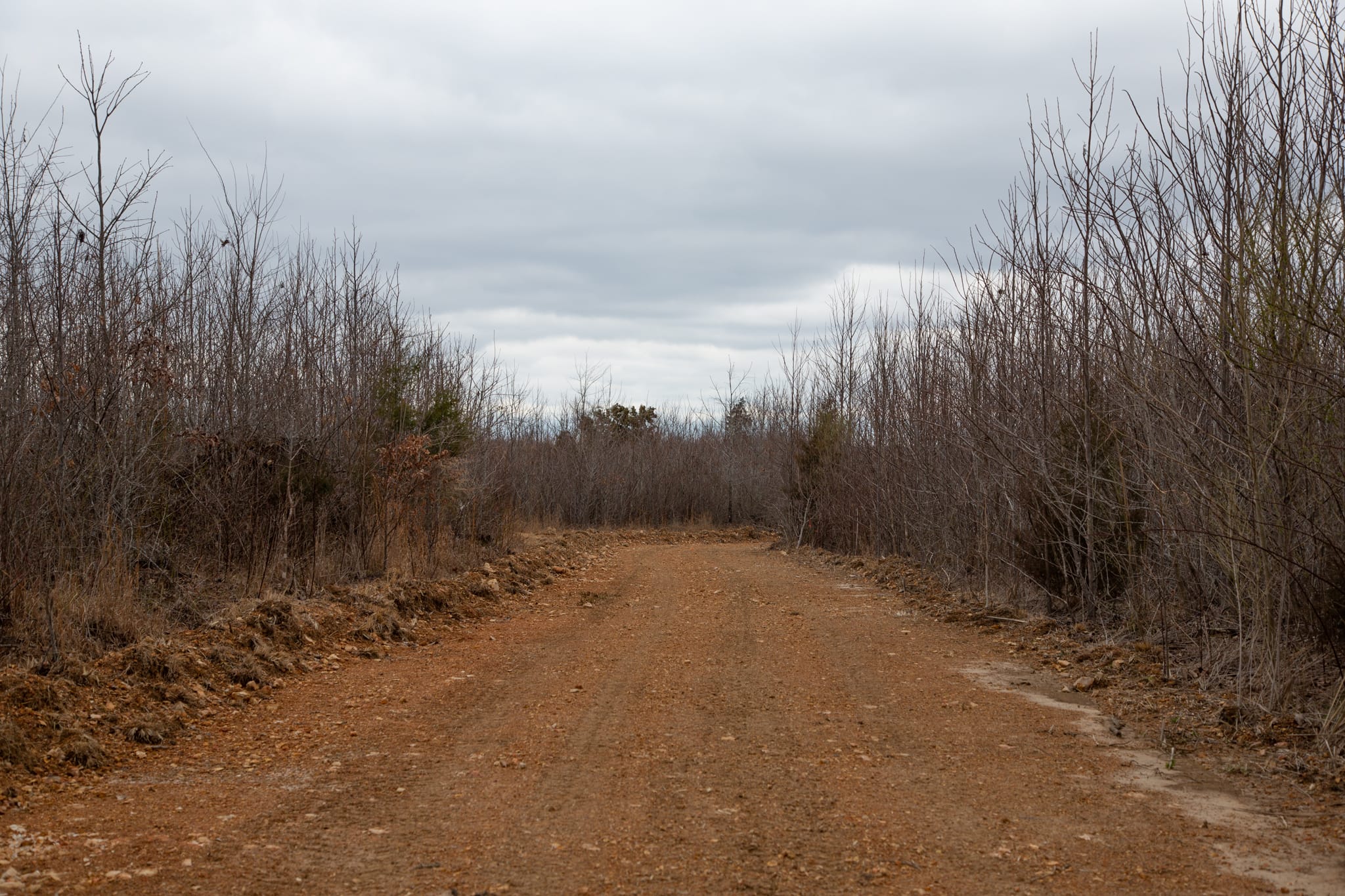 Southwind Ranch Tract 8 photo 4