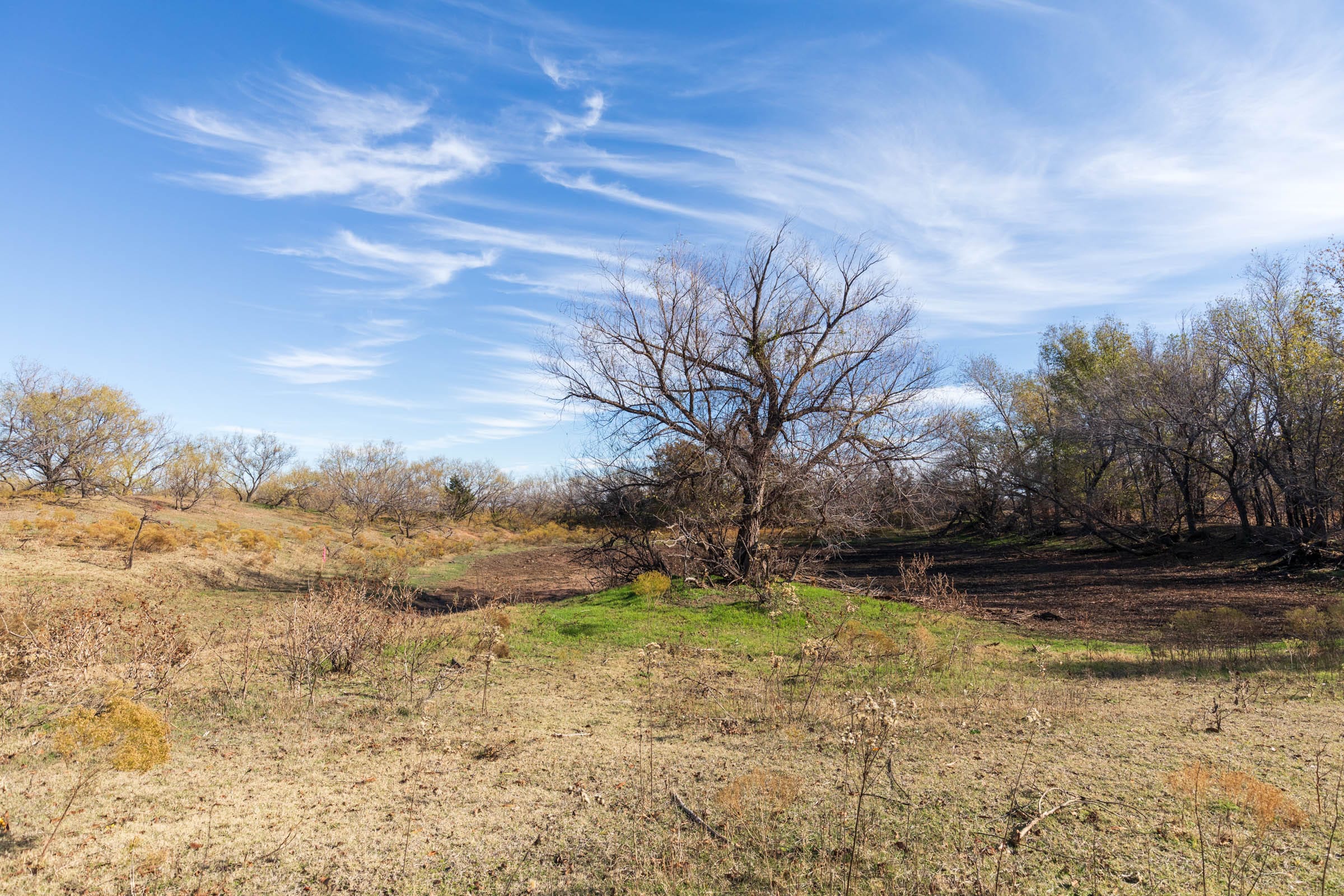 Coyote Ridge Tract 1 photo 2