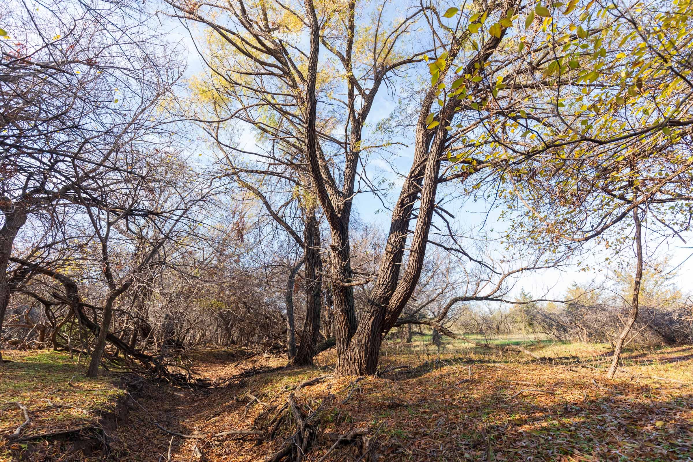 Coyote Ridge Tract 1 photo 3