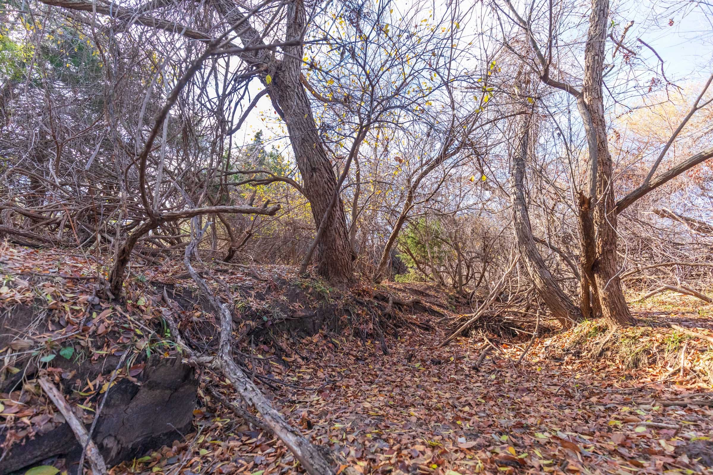 Coyote Ridge Tract 1 photo 6