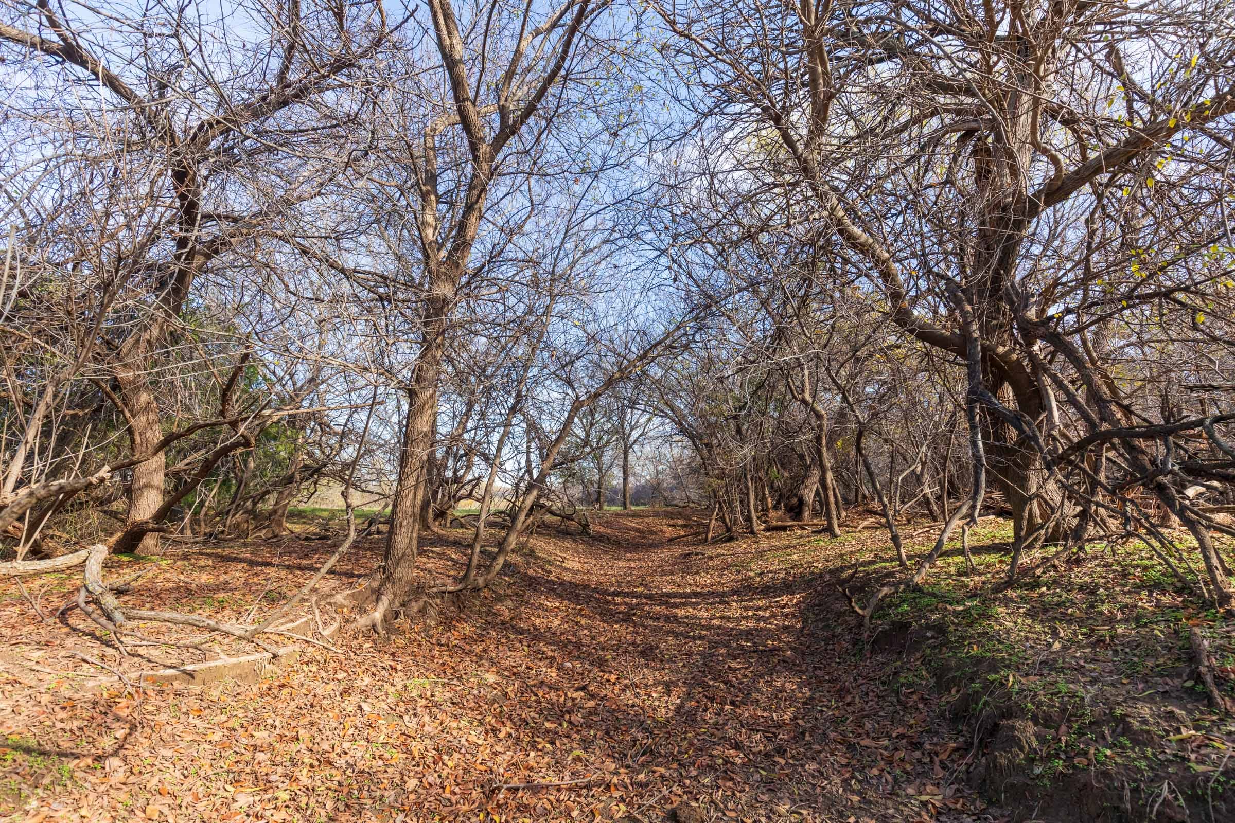 Coyote Ridge Tract 1 photo 7