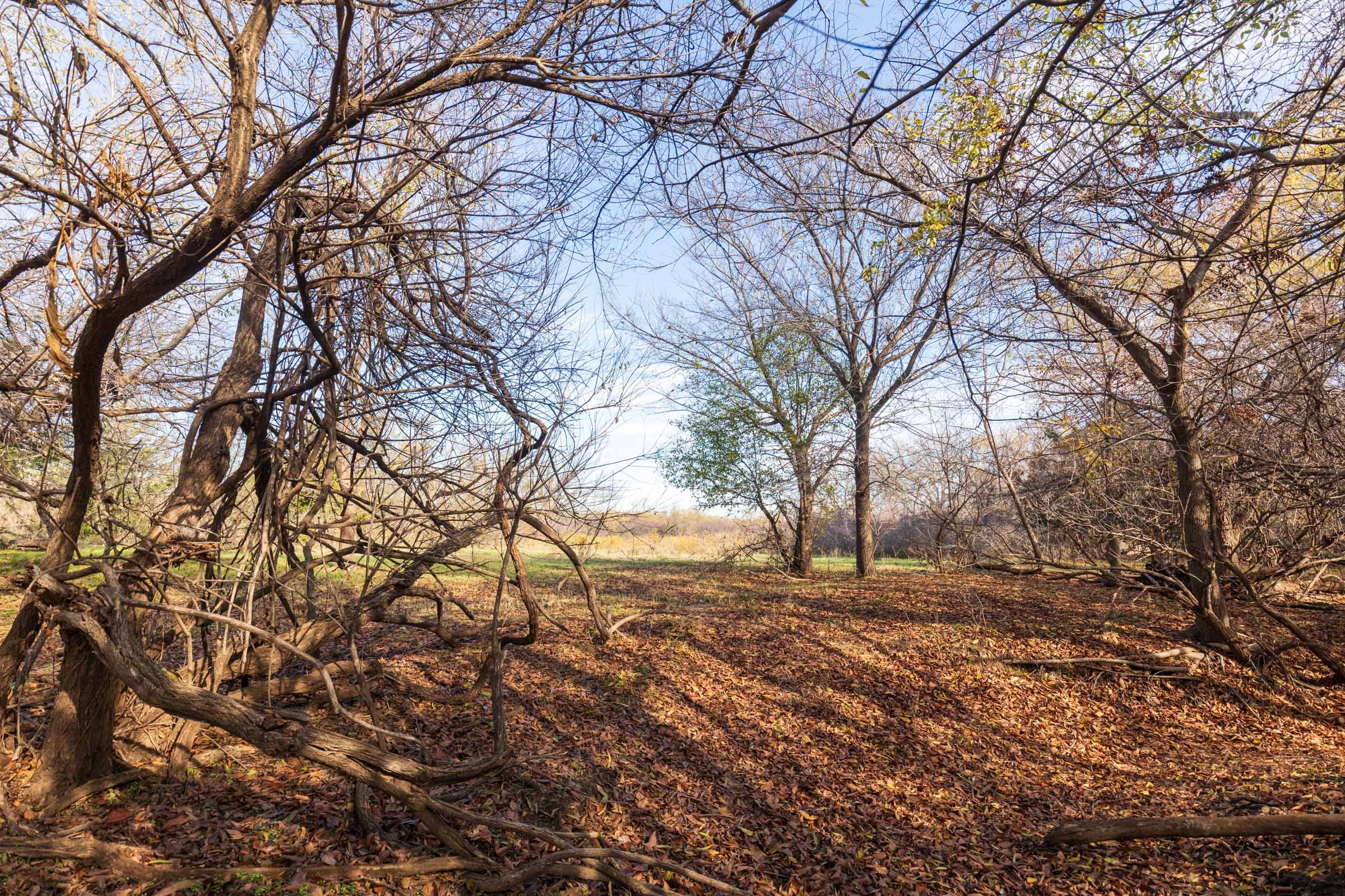 Coyote Ridge Tract 1 photo 9