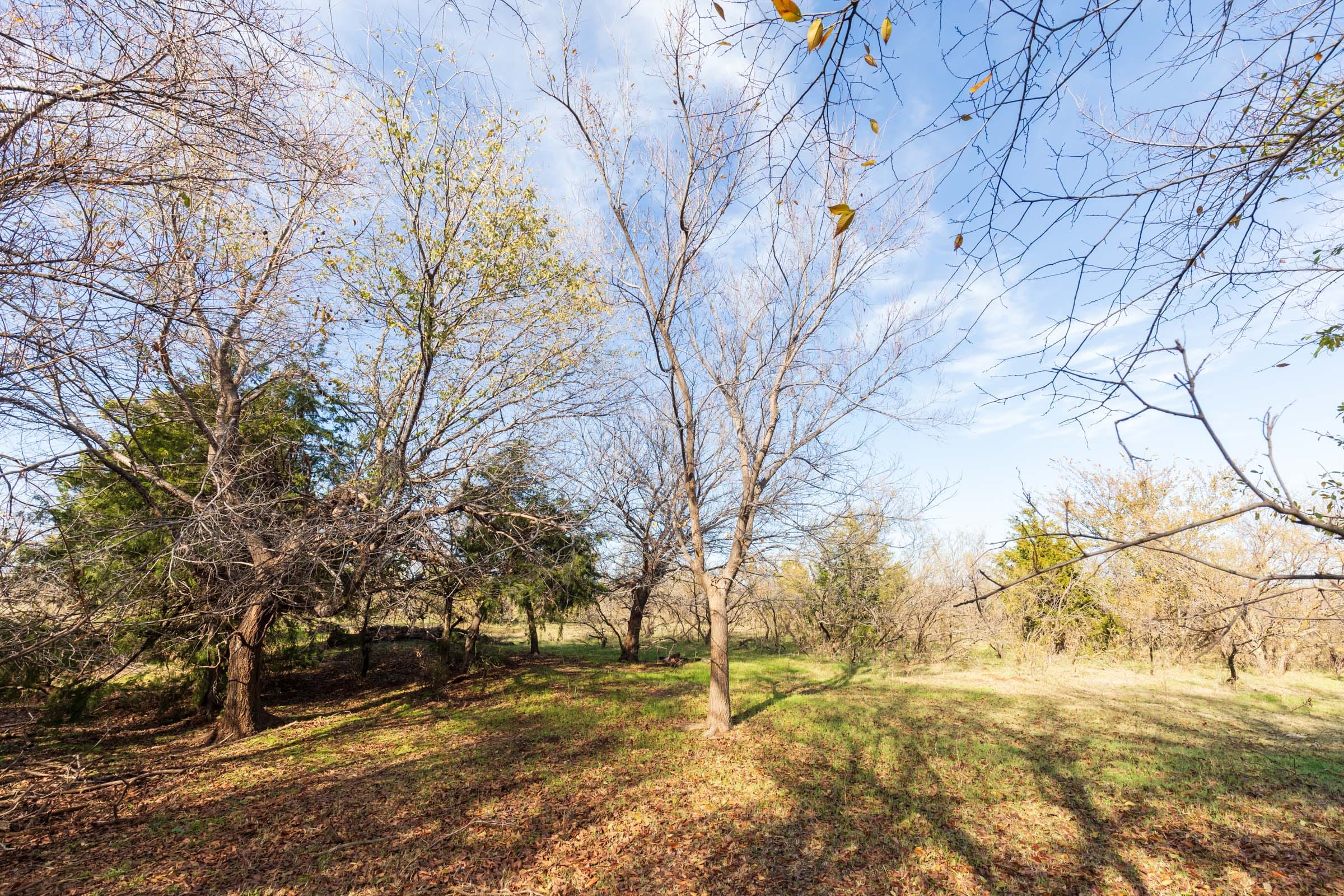Coyote Ridge Tract 1 photo 10