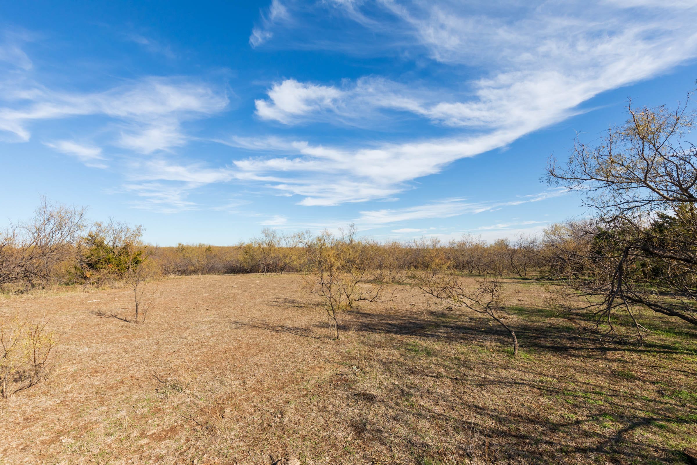 Coyote Ridge Tract 1 photo 11