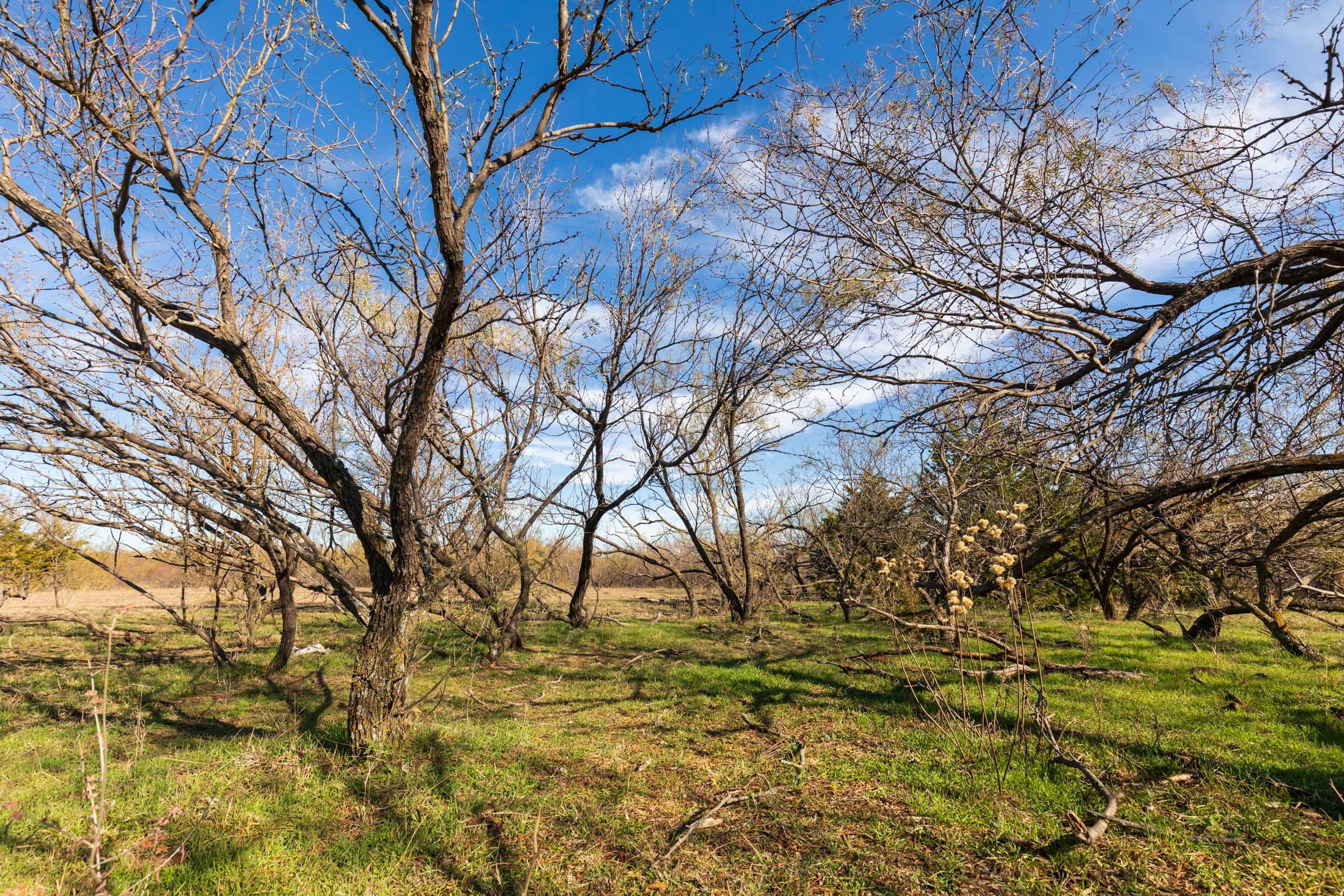 Coyote Ridge Tract 1 photo 12