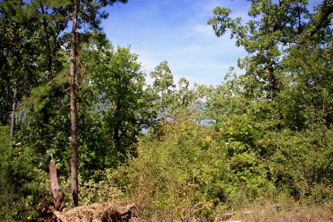 Lakeview Private Reserve Tract 17 photo 3