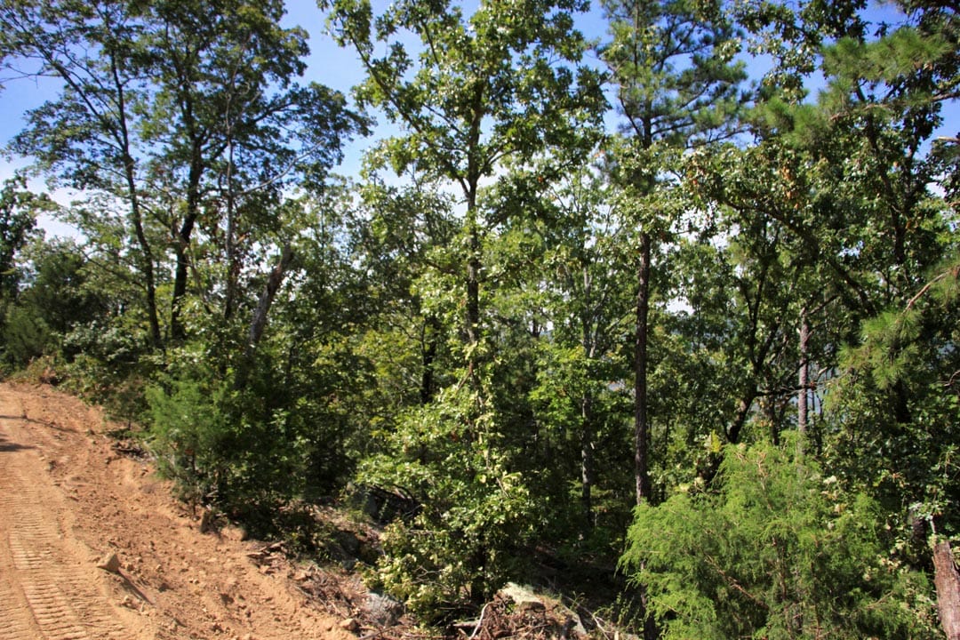 Lakeview Private Reserve Tract 17 photo 5