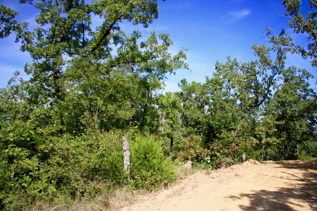 Lakeview Private Reserve Tract 17 photo 6