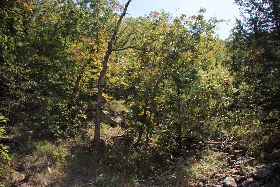 Lakeview Private Reserve Tract 17 photo 7