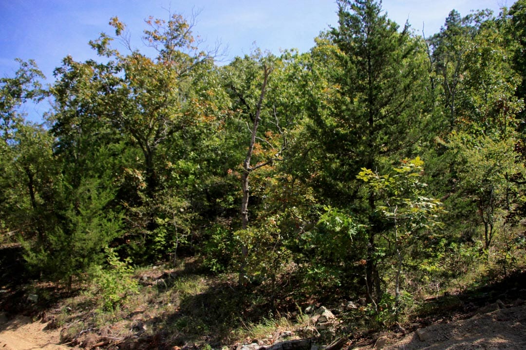 Lakeview Private Reserve Tract 17 photo 8