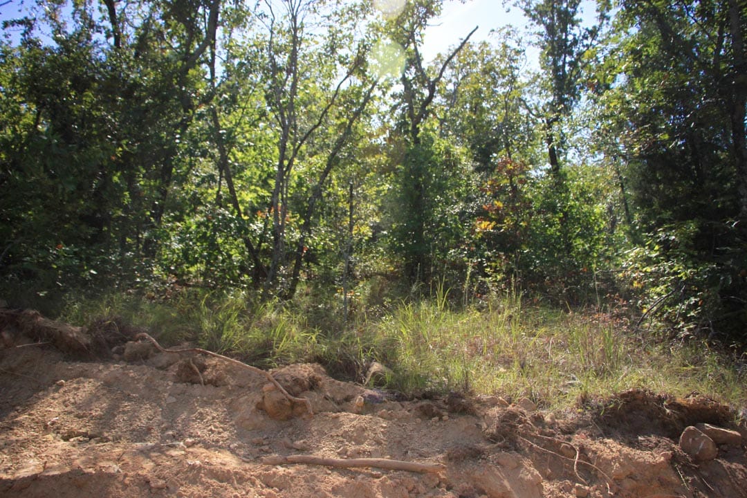 Lakeview Private Reserve Tract 17 photo 12