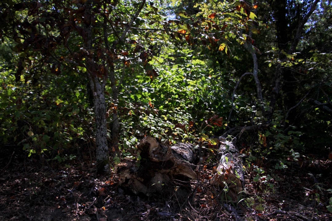 Lakeview Private Reserve Tract 17 photo 13