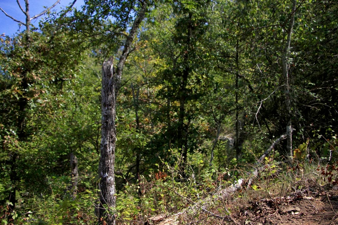 Lakeview Private Reserve Tract 17 photo 14