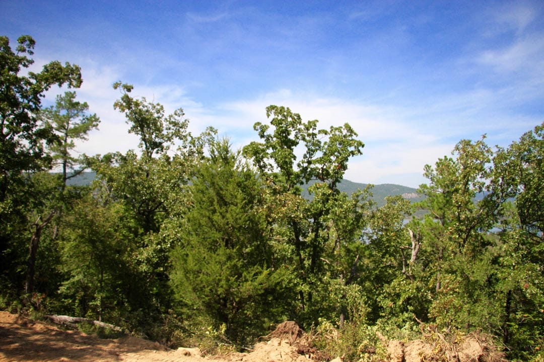 Lakeview Private Reserve Tract 17 photo 15