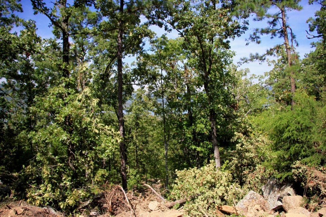 Lakeview Private Reserve Tract 17 photo 16